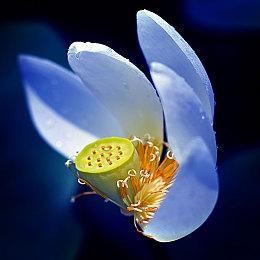 滑雪游戏《Shredders》宣布跳票至2022年2月